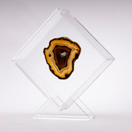 Agate Floating in Acrylic Display // Ver. 8