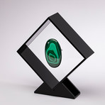 Malachite Floating in Acrylic Display // Ver. 5