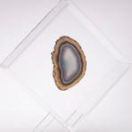 Agate Floating in Acrylic Display // Ver. 6