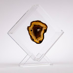 Agate Floating in Acrylic Display // Ver. 8