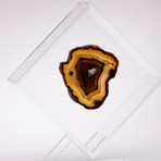 Agate Floating in Acrylic Display // Ver. 8