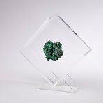 Velvet Malachite Floating in Acrylic Display