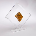 South Africa Tigers Eye Floating in Acrylic Display