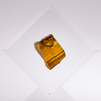 South Africa Tigers Eye Floating in Acrylic Display