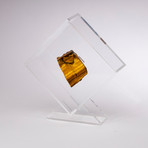 South Africa Tigers Eye Floating in Acrylic Display