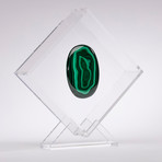 Malachite Floating in Acrylic Display // Ver. 3