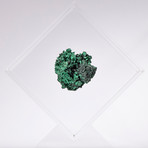 Velvet Malachite Floating in Acrylic Display