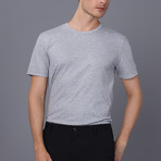 Sacramento Crew Neck T-Shirt // Gray (2XL)