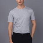 Sacramento Crew Neck T-Shirt // Gray (2XL)