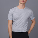 Sacramento Crew Neck T-Shirt // Gray (2XL)