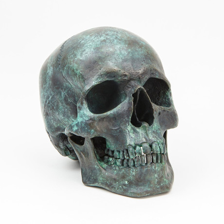 Human Skull // Verdigris Bronze
