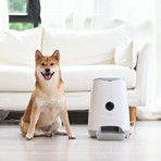 Nutri Vision // Wi-Fi Pet Feeder With Camera