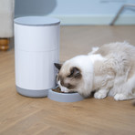 Nutri Mini // Wi-Fi Pet Feeder