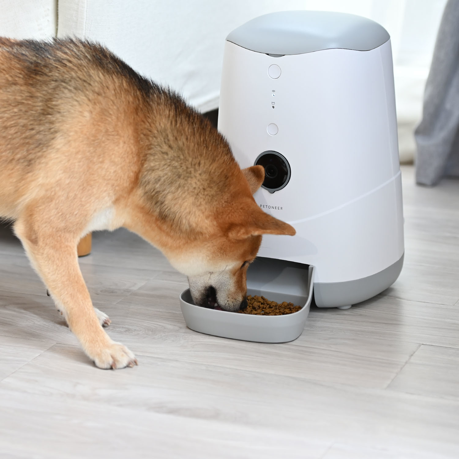 Nutri Vision // WiFi Pet Feeder With Camera Petoneer Touch of Modern