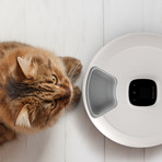 Nutri Spin // Wi-Fi Pet Feeder