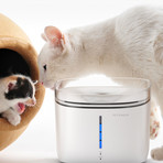 Fresco Ultra // Wi-Fi Pet Fountain With UVC Lamp