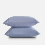 Eucalyptus Pillowcase Set // Sky (Standard / Queen)