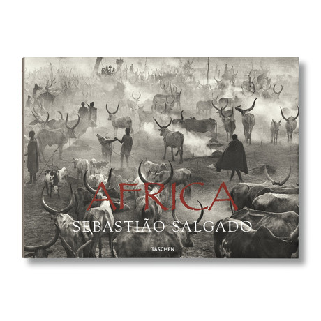 Salgado, Africa