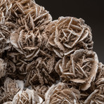 Genuine Desert Rose Selenite Cluster V1