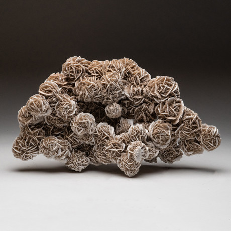 Genuine Desert Rose Selenite Cluster V1