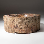Genuine Polished Petrified Wood Bowl V2