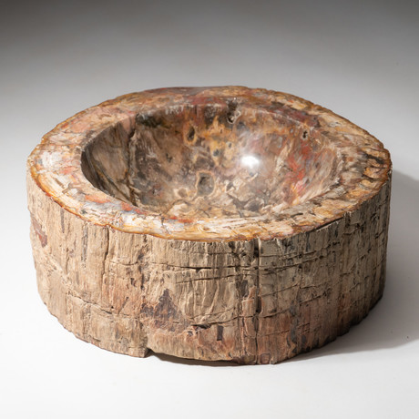 Genuine Polished Petrified Wood Bowl V2