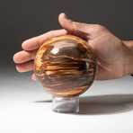 Genuine Polished Petrified Wood Sphere + Acrylic Display Stand V1