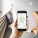 Wave Plus Smart Indoor Air Quality Monitor with Radon Detection