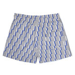 Geometric X Amelia Graham Classic Swim Shorts // Gray (Small)