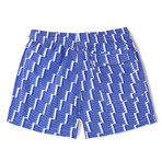 Geometric X Amelia Graham Classic Swim Shorts // Blue + White (Small)