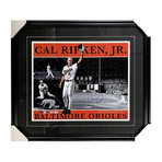 Cal Ripken Jr. // Framed Autographed Limited Edition Photo