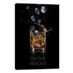 On The Rocks // Alexandre Venancio (40"W x 60"H x 1.5"D)