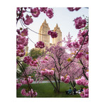 Spring Central Park (8"W x 10"H)