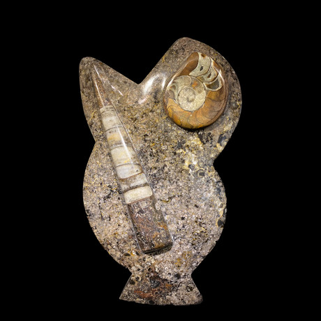 Ammonite & Belemnite Statue // Gray