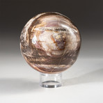 Genuine Polished Petrified Wood Sphere + Acrylic Display Stand // V1