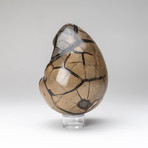 Genuine Polished Septarian Druzy Egg + Acrylic Display Stand