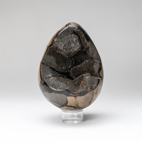 Genuine Polished Septarian Druzy Egg + Acrylic Display Stand