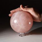 Genuine Polished Rose Quartz Sphere + Acrylic Display Stand // V4