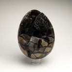 Genuine Polished Septarian Druzy Egg // V2