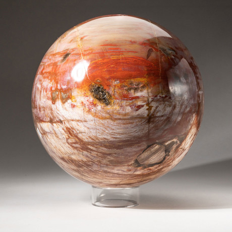 Giant Petrified Wood Sphere + Acrylic Display Stand