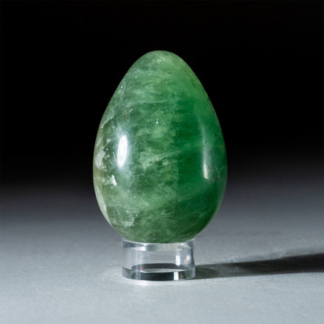 Genuine Polished Green Fluorite Egg + Acrylic Display Stand // V2