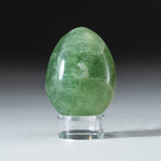 Genuine Polished Green Fluorite Egg + Acrylic Display Stand // V1