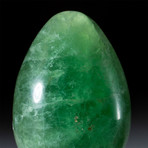 Genuine Polished Green Fluorite Egg + Acrylic Display Stand // V2