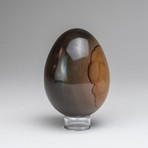 Genuine Polished Polychrome Jasper Egg + Acrylic Display Stand // V1