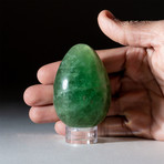 Genuine Polished Green Fluorite Egg + Acrylic Display Stand // V2