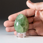 Genuine Polished Green Fluorite Egg + Acrylic Display Stand // V1