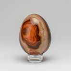 Genuine Polished Polychrome Jasper Egg + Acrylic Display Stand // V2