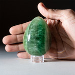 Genuine Polished Green Fluorite Egg + Acrylic Display Stand // V3