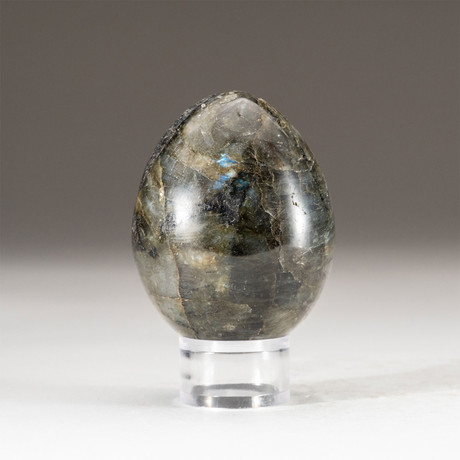 Genuine Polished Labradorite Egg + Acrylic Display Stand // V1