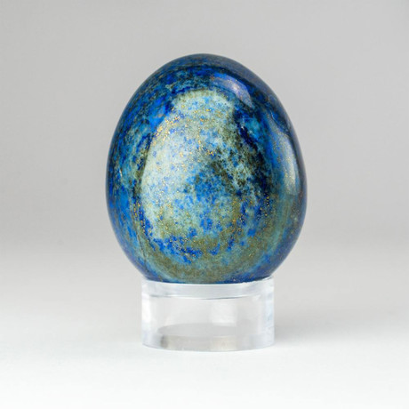 Genuine Polished Lapis Lazuli Egg + Acrylic Display Stand // V1